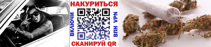 Где купить Каменногорск A-PVP  Галлюциногенные грибы  Канабис  Гашиш 