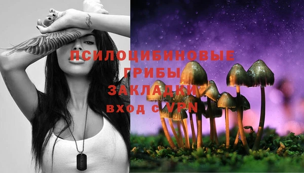мет Володарск