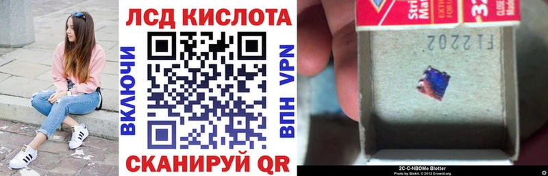 где купить наркотик  Каменногорск  Марки N-bome 1,8мг 